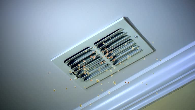 Best Commercial Air Duct Cleaning  in Somerset, NJ